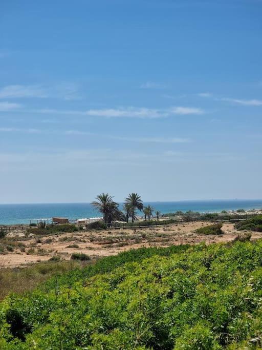 Marbella Sea View * Arenales del Sol